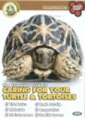 Essential Guide to Caring for Your Turtle & Tortoises