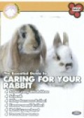 The Essential Guide to Caring for Your Rabbit