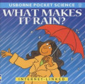 What Makes it Rain?