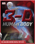 3-D Human Body