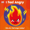 I Feel Angry: Why do I feel angry today