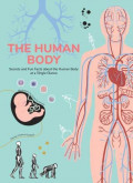 The Human Body: Secrets and Fun Facts about the Human Body at a Single Glance