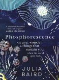 Phosphorescence: A Memoir of Finding Joy When Your World Goes Dark