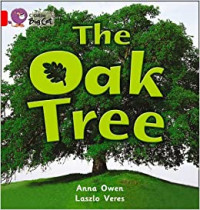 The Oak Tree