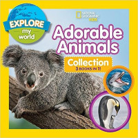 Adorable Animals Collection 3 Books in 1!