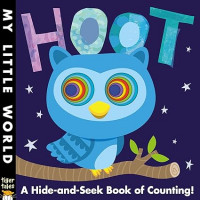 Hoot : a hole-some book of counting!