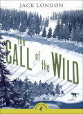 The call of the wild and eBook Attachment