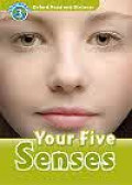 Your Five Senses