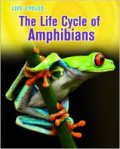 Life Cycles: The Life Cicle of Amphibians