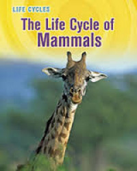 Life Cycles: The Life Cicle of Mammals