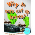 Why Do Ants Cut Up Leaves? : First Questions and Answers