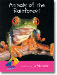 Animals of the Rainforest