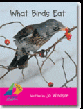 What Birds Eat