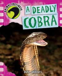 A deadly cobra