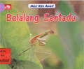 Belalang Sentadu