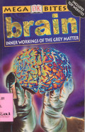 Brain : Inner Workings of The Grey Matter