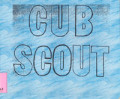 Cub Scout