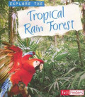 Explore the Tropical Rain Forest