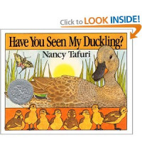 Have You Seen My Duckling?