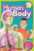 Human Body