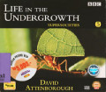 Life in The Undergrowth : Super Societies