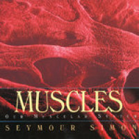 Muscles: our muscular system