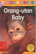 Orang-Utan Baby