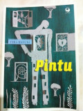 Pintu