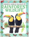 Rainforest wildlife