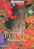 The Private Life Of Plants : Branching Out