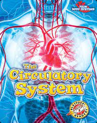 The Circulatory System