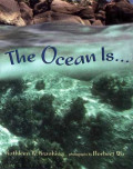 The ocean is...