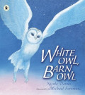 White Owl, Barn Owl