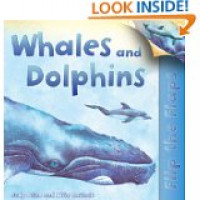 Whales and Dolphins