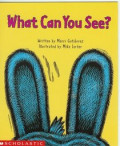 What Can You See?