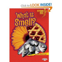 What is Smell