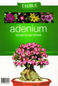 Adenium : Bunga-bunga Terbaik