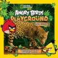 ANGRY BIRD PLAYGROUND RAIN FOREST