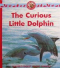 The Curious Little Dolphin