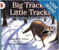 Big tracks, little tracks: following animal prints