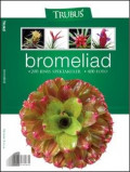 Bromeliad