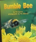 Bumble Bee (Big Book)