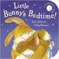 Little Bunny's Bedtime!