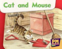 Cat and mouse