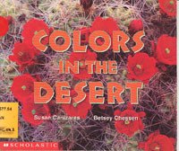 Colors in the Desert