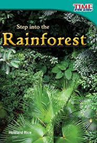 Step into the rainforest