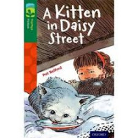 A kitten in daisy street