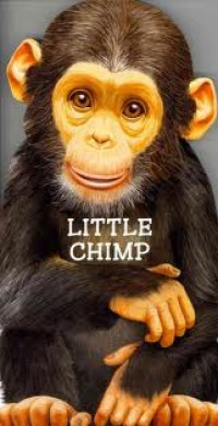 Little Chimp