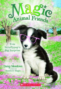 Magic Animal Friends #10: Evie Scruffypup's Big Surprise