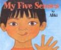 My Five Sense (Big Book)